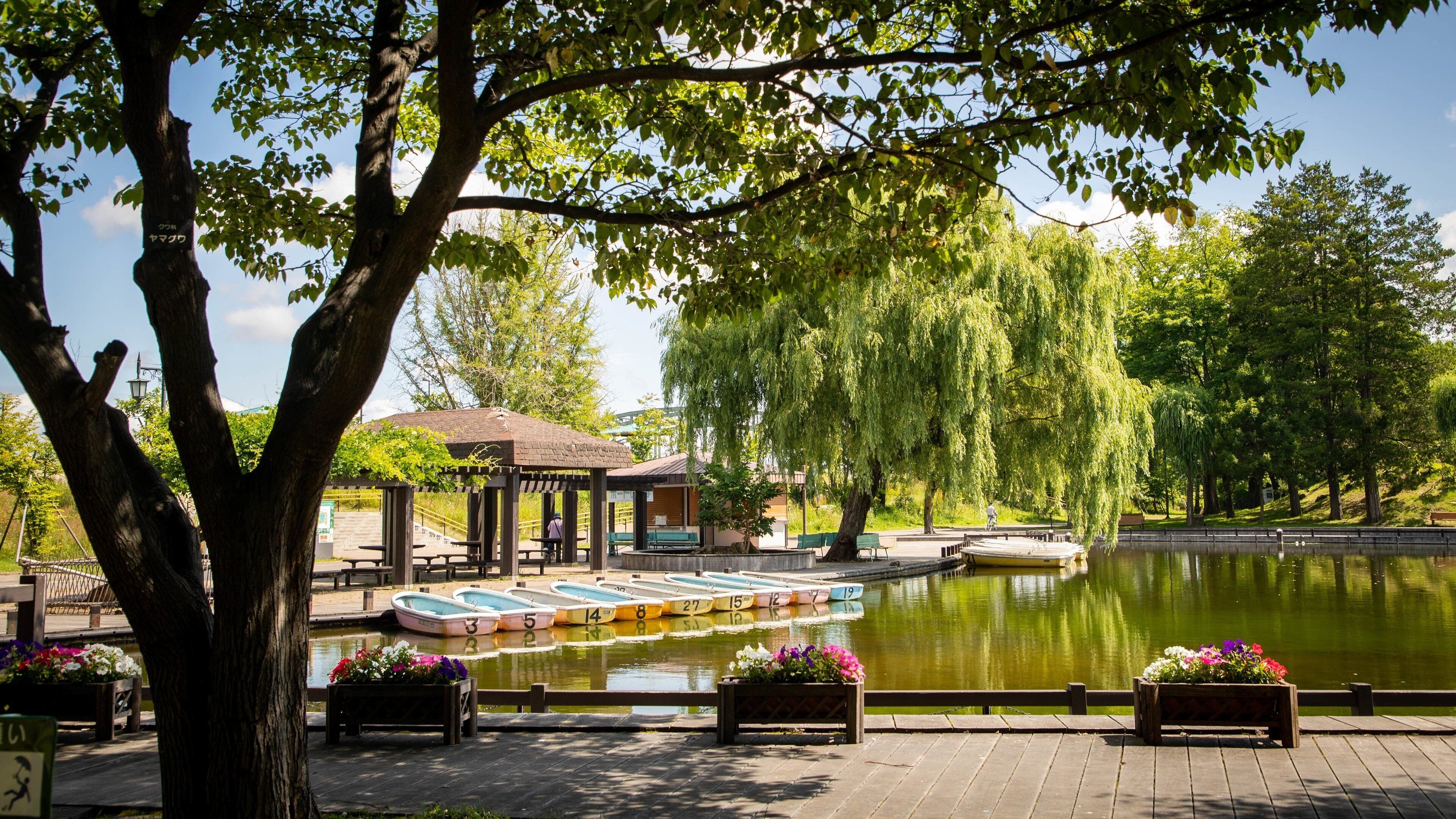 A tranquil park with a row of numbered boats on a calm pond, surrounded by lush trees and benches.