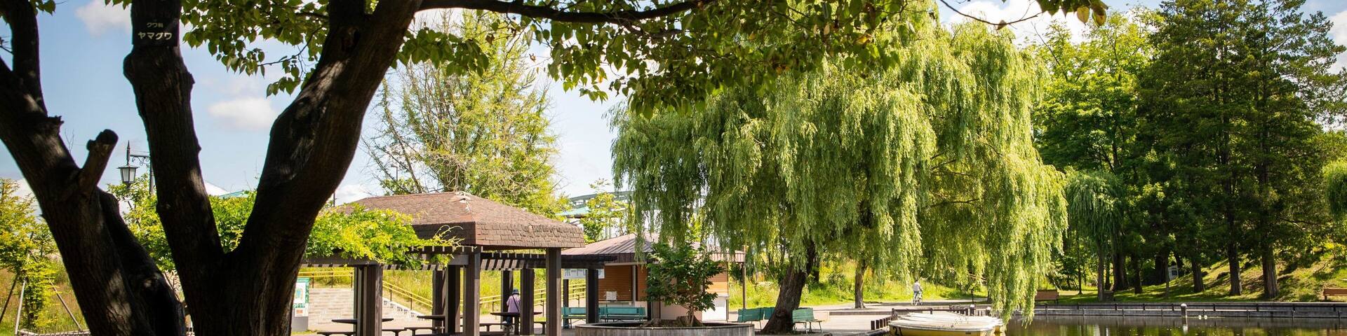 Un parc paisible où l’on peut admirer une rangée de bateaux numérotés sur un étang tranquille, le tout étant entouré d’arbres luxuriants et de bancs.