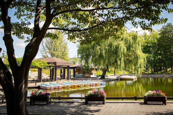 A tranquil park with a row of numbered boats on a calm pond, surrounded by lush trees and benches.