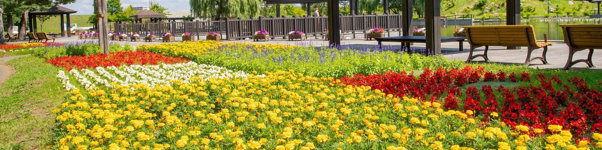 Tokiwa Park which includes flowers and a park