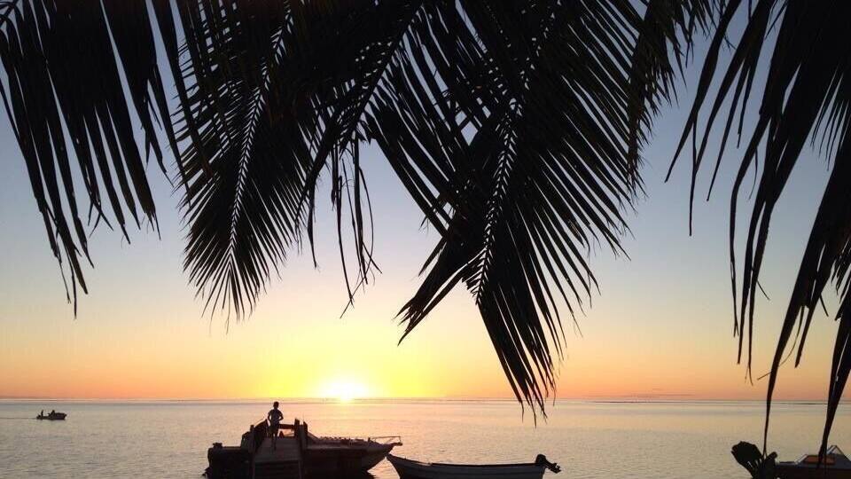 A sunset over a calm sea with boats docked at a pier, palm trees framing the scene.