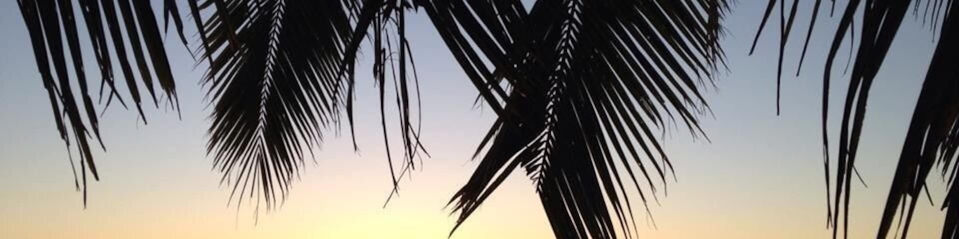Some of the best sunsets I've ever seen were here in Tonga.