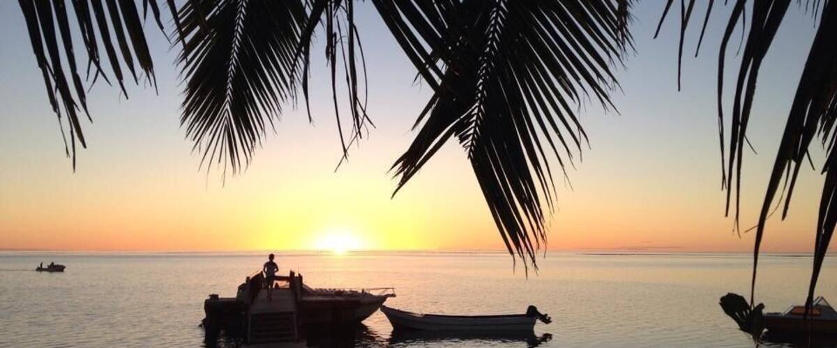 A sunset over a calm sea with boats docked at a pier, palm trees framing the scene.