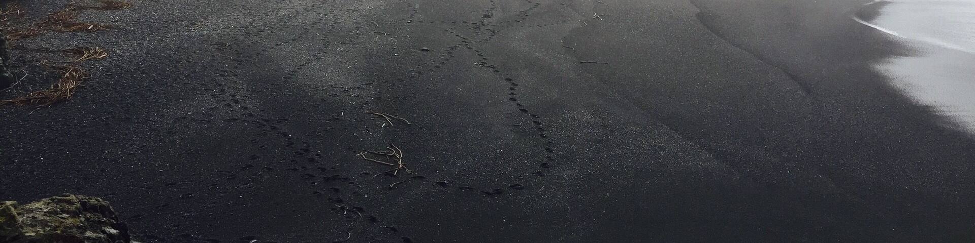 One of the coolest beaches I have ever been to! A little while off the 101 in Cali!