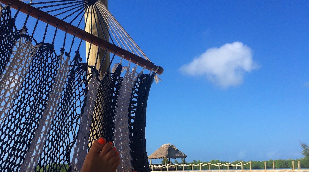 New Years Vibes ✌🏻️💙 #islandlife #roatan #honduras #travel #explore #wander #wanderlust #instatravel #travelgram #trip #view #beach #ocean #good #vibes #nye #nye2015 #2015 #2016