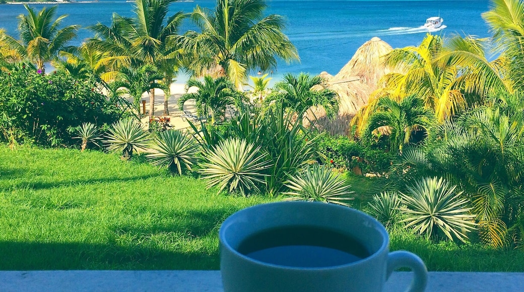 { Our little slice of heaven }🌴 #morning #vibes #honduras #roatan #honduras #beautiful #view #ocean #travel #trip #explore #wander #wanderlust #instatravel #travelgram #vsco #vscocam