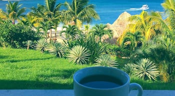 { Our little slice of heaven }🌴 #morning #vibes #honduras #roatan #honduras #beautiful #view #ocean #travel #trip #explore #wander #wanderlust #instatravel #travelgram #vsco #vscocam