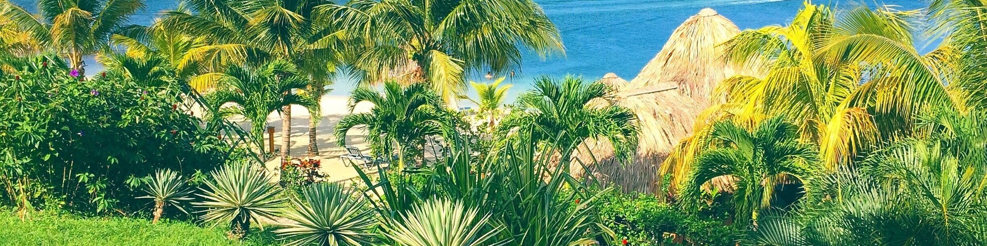 { Our little slice of heaven }🌴 #morning #vibes #honduras #roatan #honduras #beautiful #view #ocean #travel #trip #explore #wander #wanderlust #instatravel #travelgram #vsco #vscocam