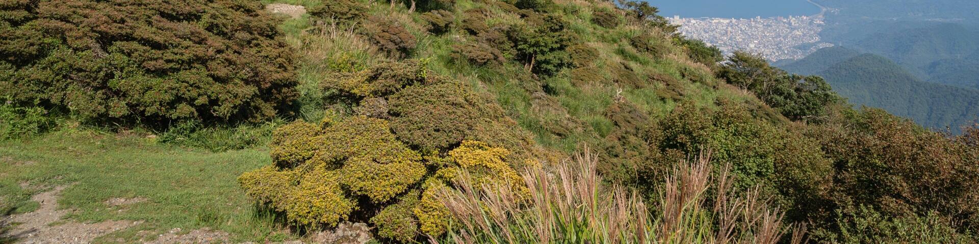 Kintetsu Beppu Ropeway