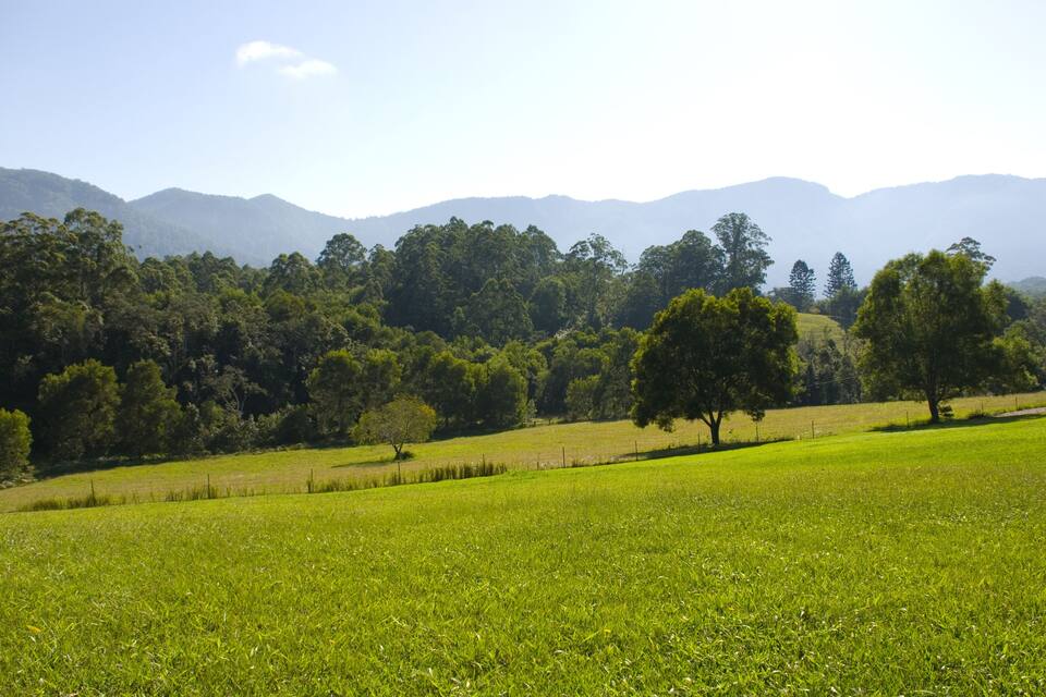 A lush green field with trees and distant mountains under a clear sky.