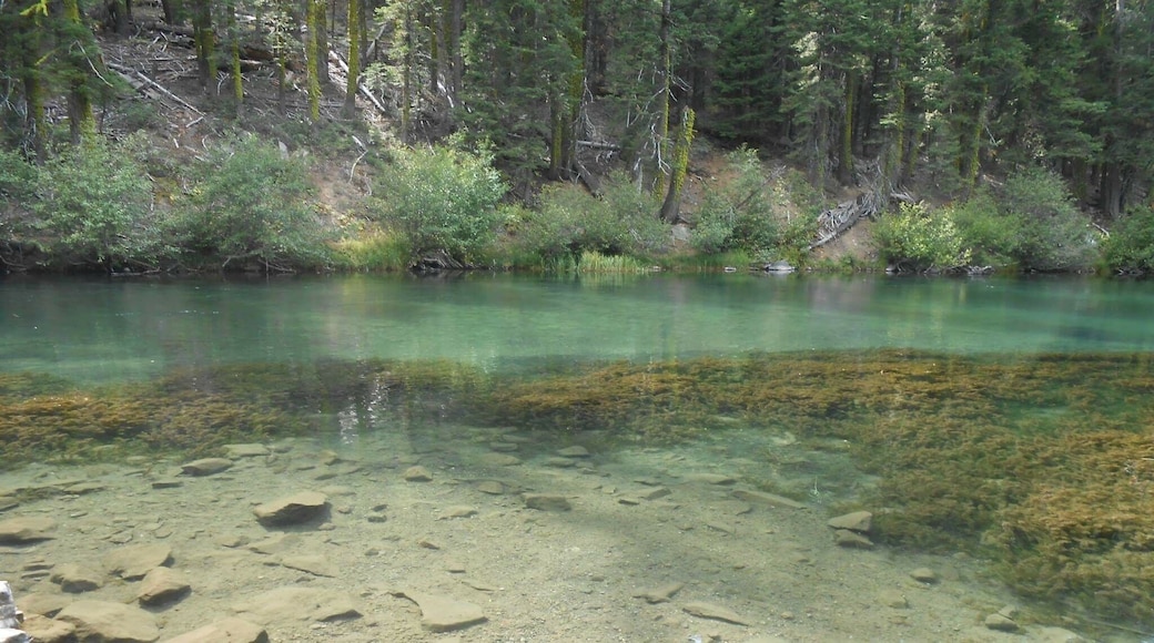 Another shot of the crystal clear river.