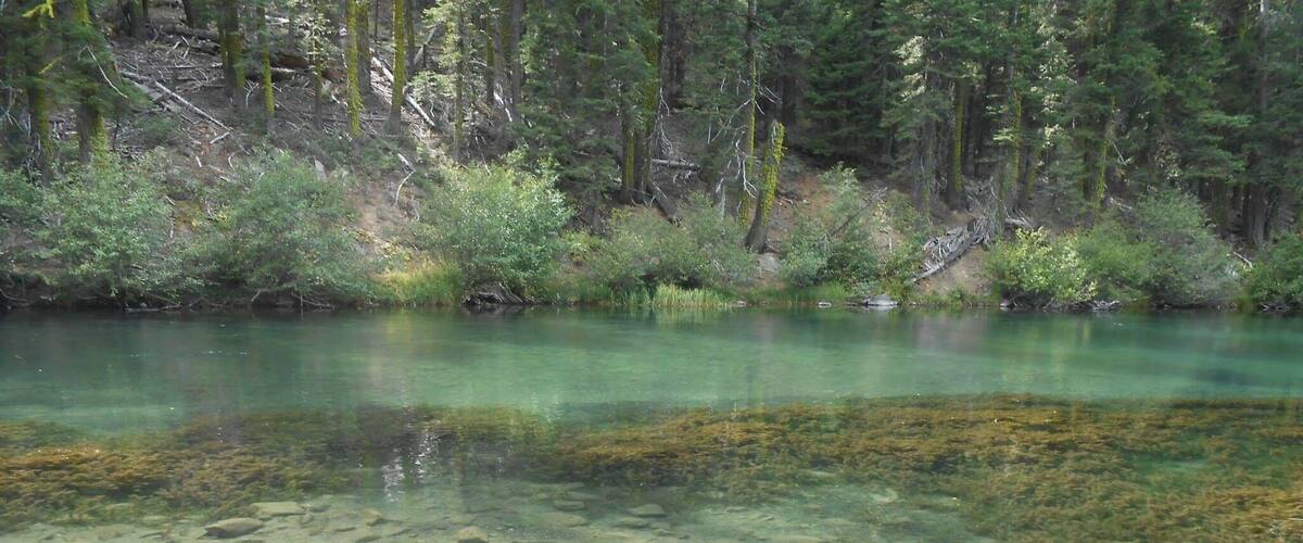 Another shot of the crystal clear river.