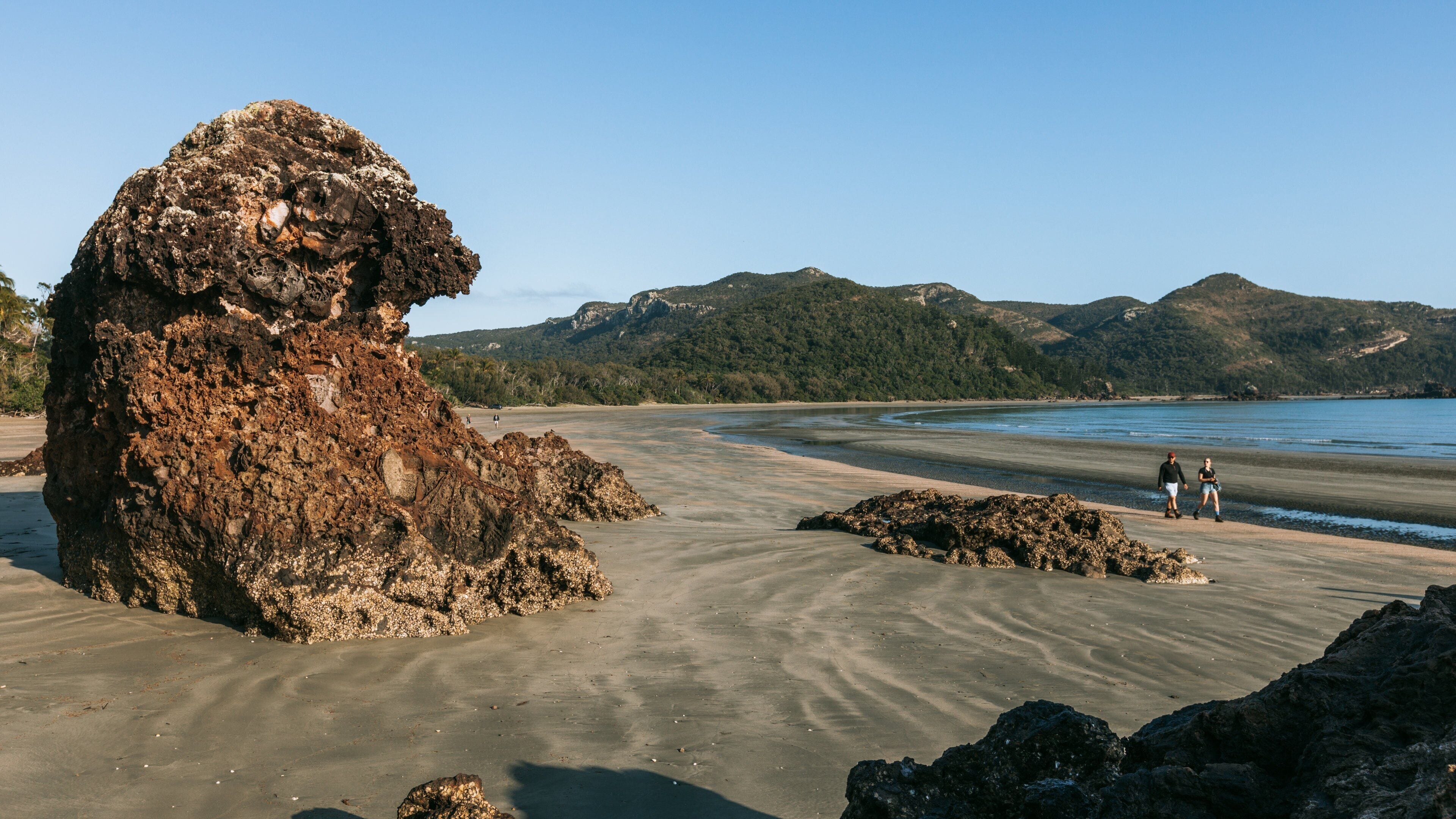 Cape Hillsborough National Park showing a sandy beach, general coastal views and landscape views