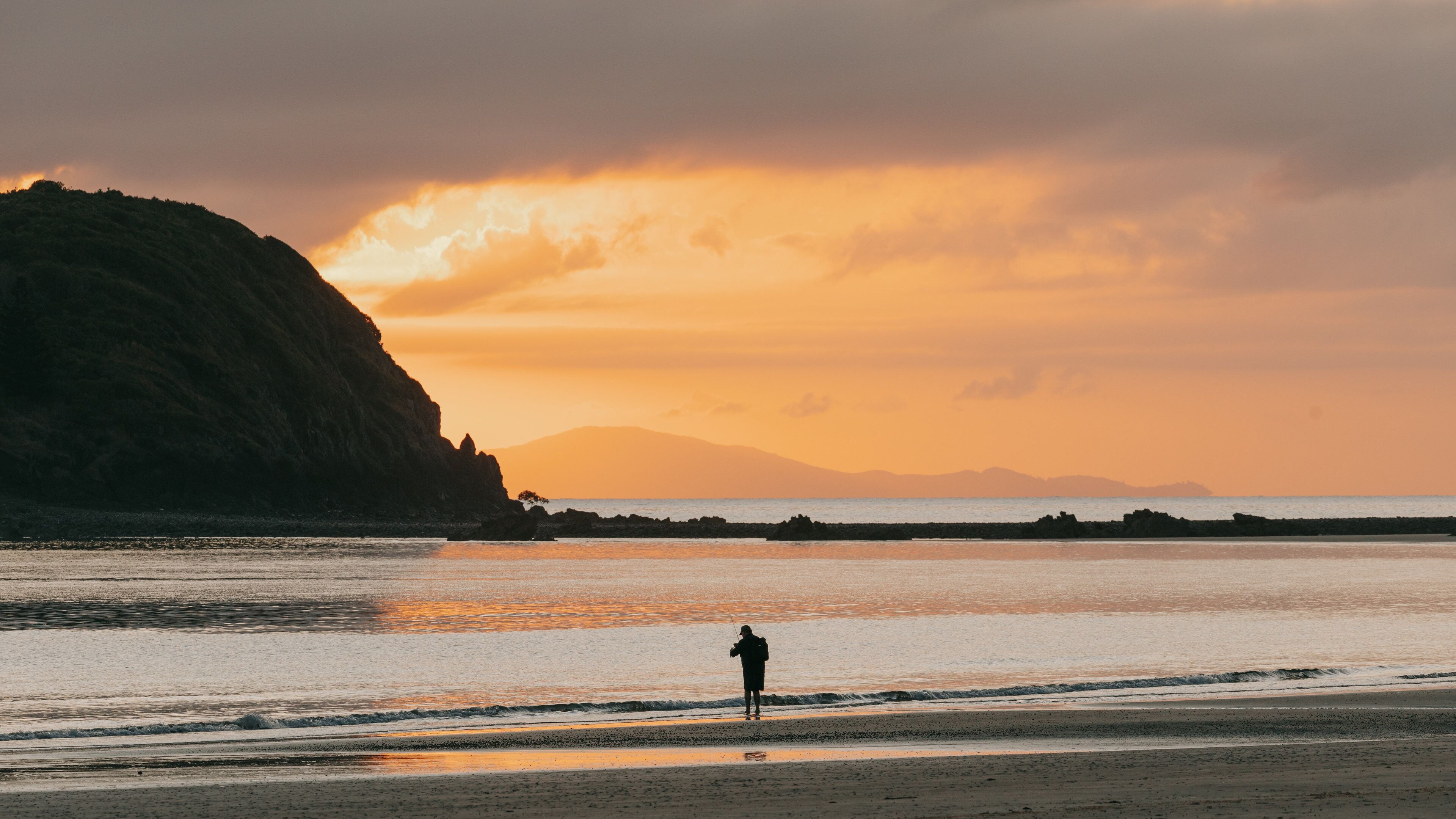 Cape Hillsborough National Park showing a sunset, general coastal views and landscape views