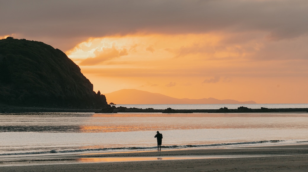 Cape Hillsborough National Park showing a sunset, general coastal views and landscape views