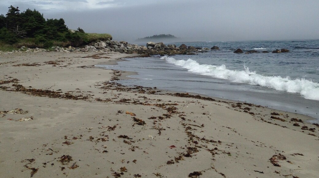 Beautiful sandy beach and board walk.