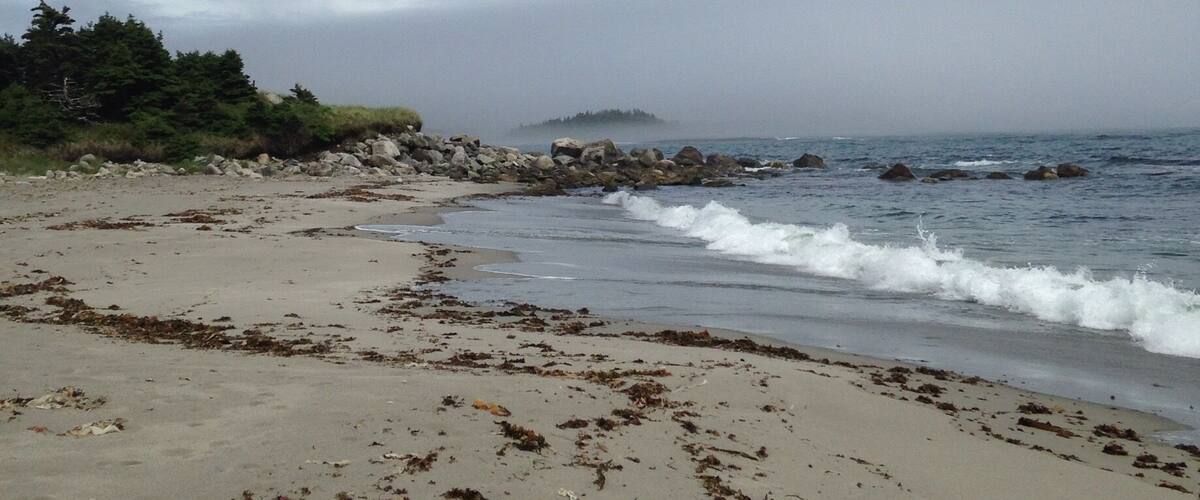A beach with scattered seaweed, waves, and a rocky outcrop in the distance.