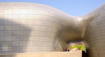 Dongdaemun Design Plaza som viser moderne arkitektur