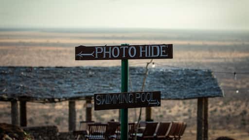Go down to the photo hide and get up and close to elephants.