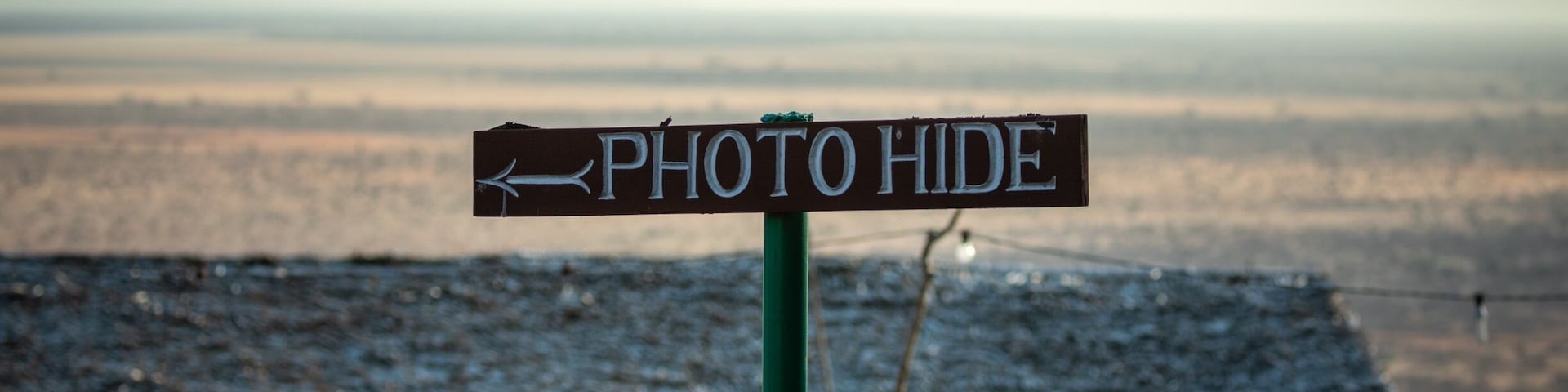 Go down to the photo hide and get up and close to elephants.