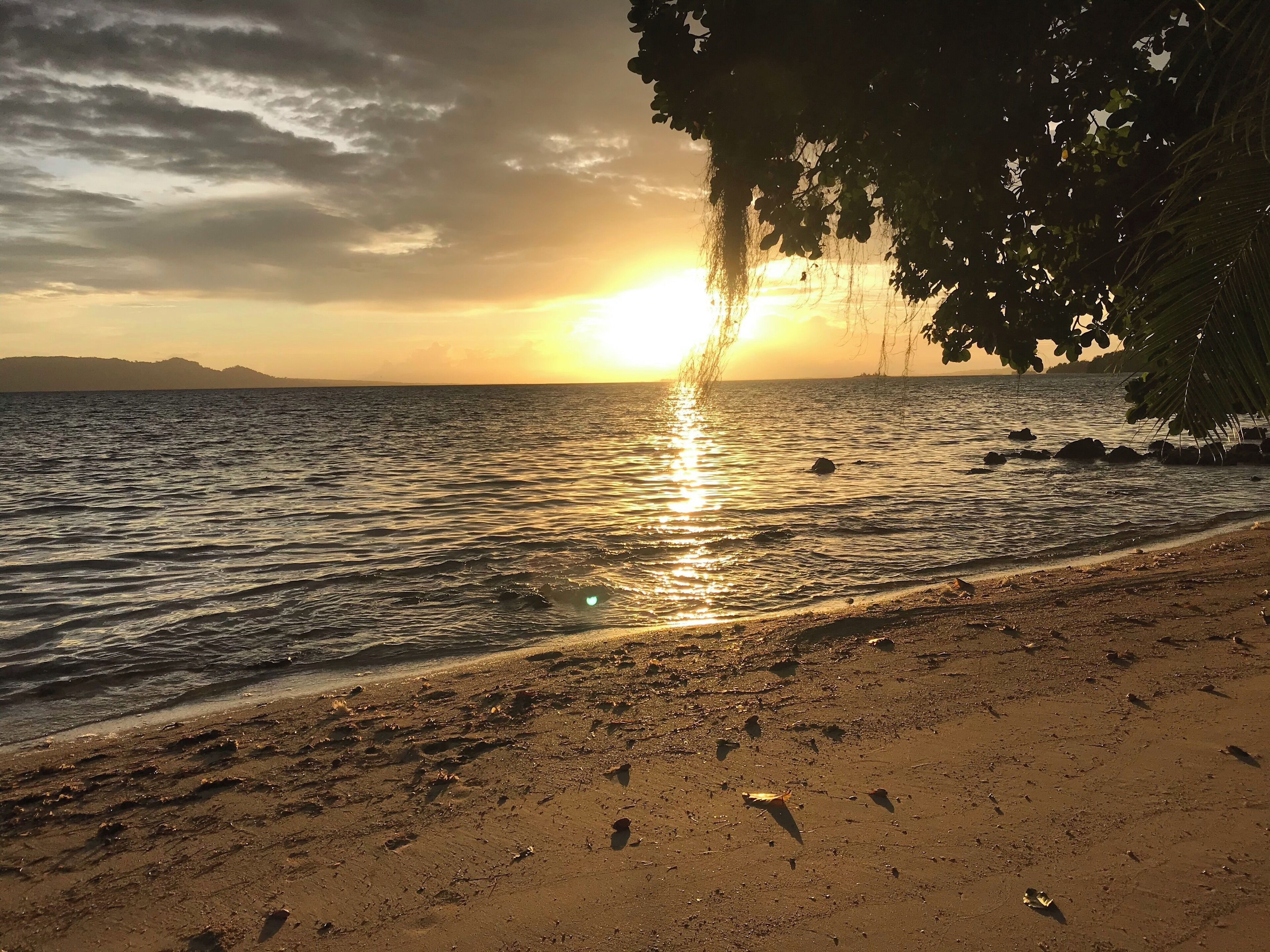 A beach at sunset with the sun reflecting on the water, a sandy shore, and a tree on the right.
