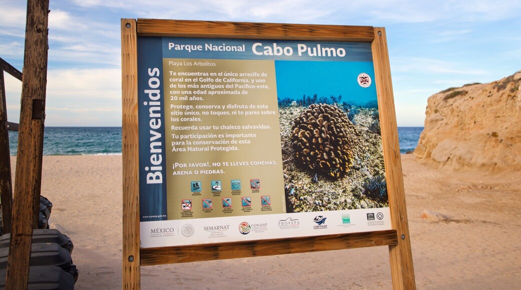 Los Arbolitos Beach showing signage, a beach and general coastal views