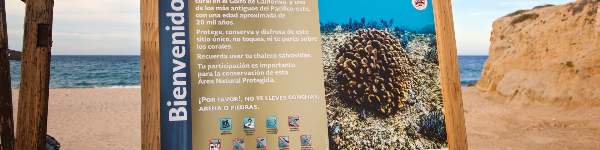 Los Arbolitos Beach showing signage, a beach and general coastal views