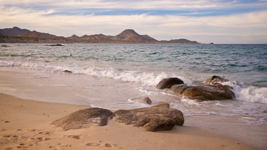 Los Arbolitos Beach showing a beach and general coastal views