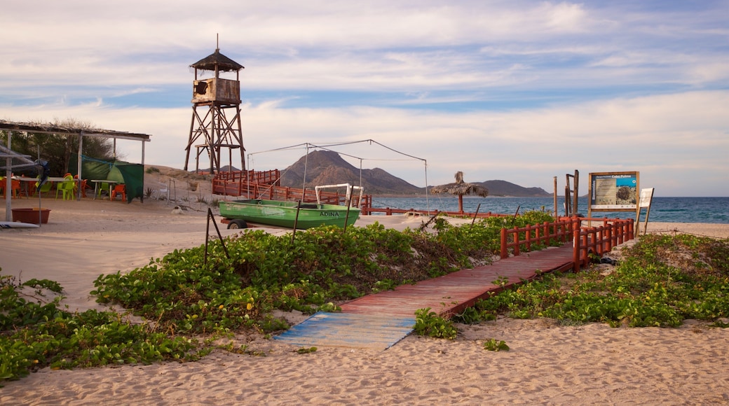 Los Arbolitos Beach featuring general coastal views and a sandy beach