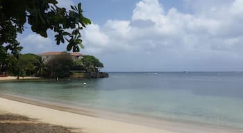 We came in mahogany bay, and no cruise ships were at coxen hole, so half moon bay was empty and beautiful! The water was so warm. It was perfect!