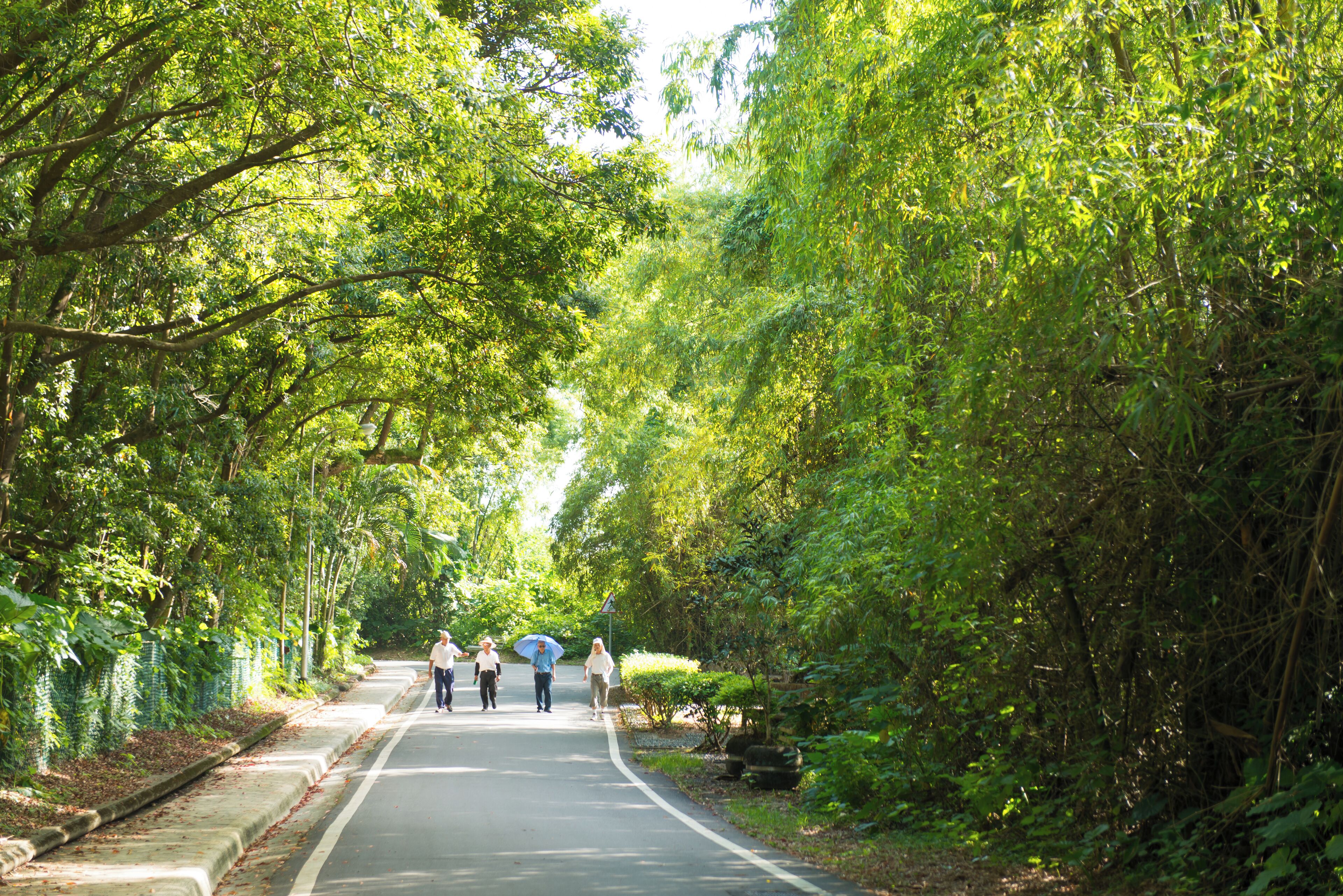 HualienCity_MeilunshanshengtaiPark_553248621564732192_006