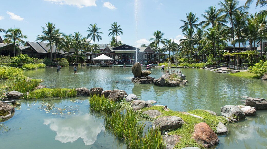 Shoufeng_LichuanFishMarket_553248621564732201_006