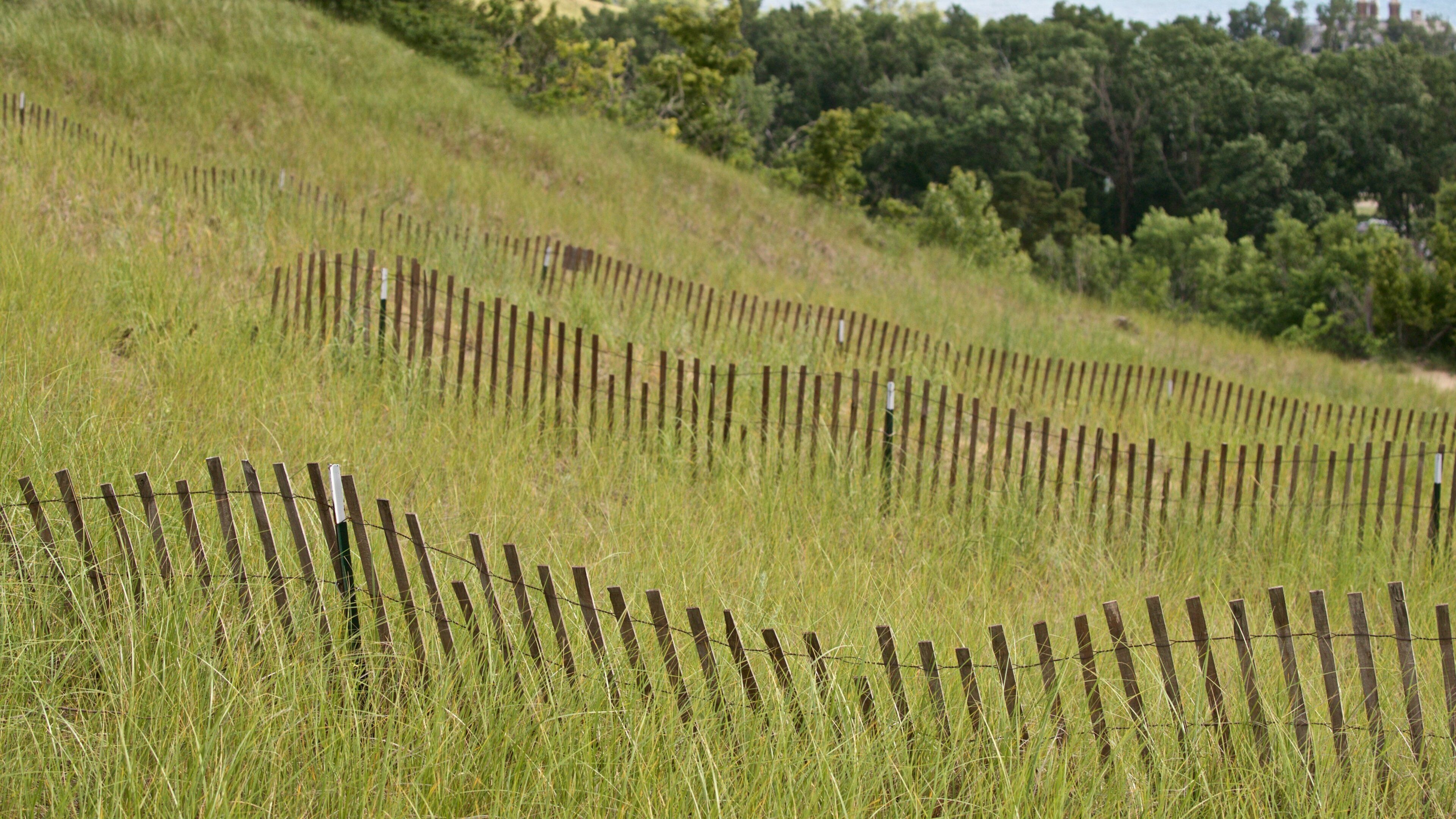 Đường cầu ván Cồn cát Núi Pisgah trong đó bao gồm cảnh thanh bình