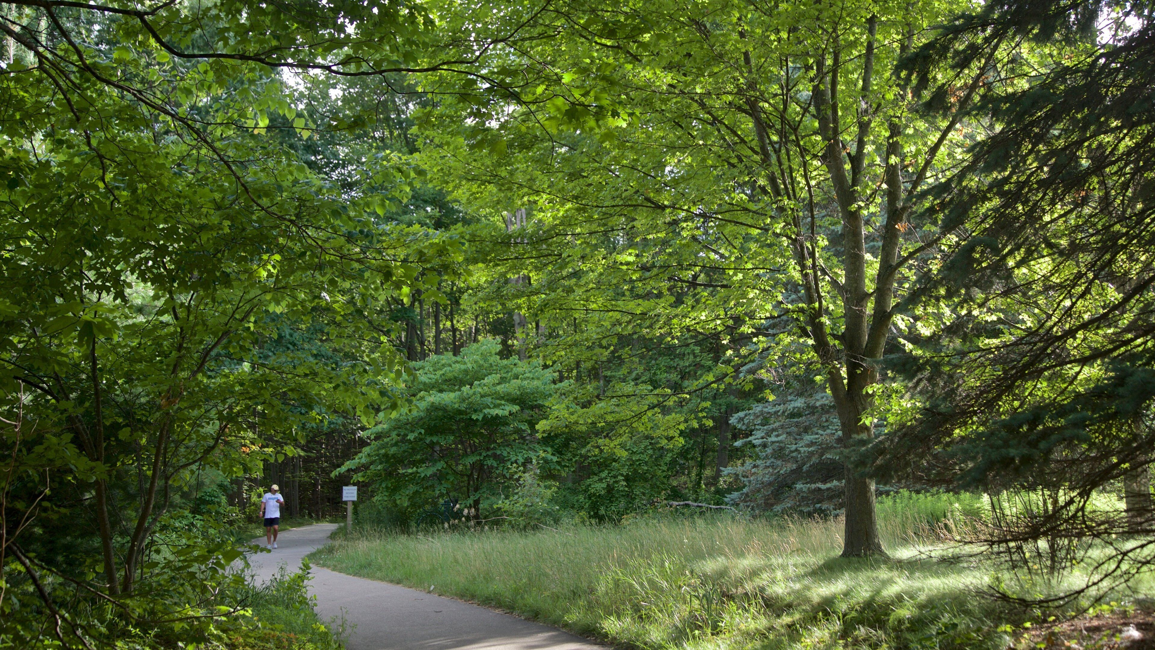 Đường cầu ván Cồn cát Núi Pisgah có tính năng công viên