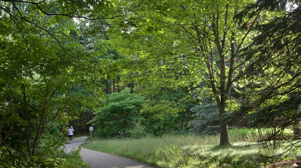 Mt. Pisgah Dune Boardwalk featuring a garden