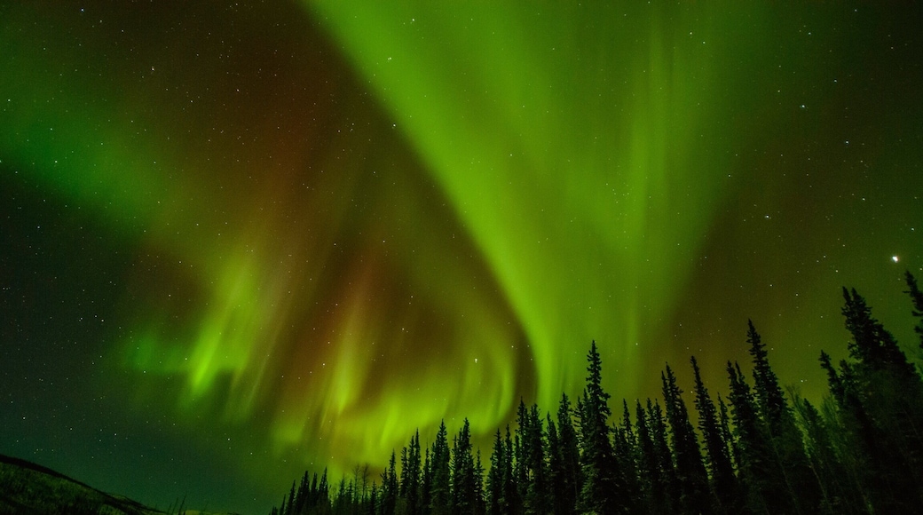 Temperatures in the frigid interior of Alaska can get down to -40°F, but it's all worth it when the Northern Lights come out to play #alaska #fairbanks #red #northernlights #aurora #auroraborealis #usa #america #colorful #nikon #weekend #nature #theoutdoors #getoutdoors #earth #planetearth #photographer #landscape #landscapephotography #desktop #green #snow #icy #winter #cold #adventure