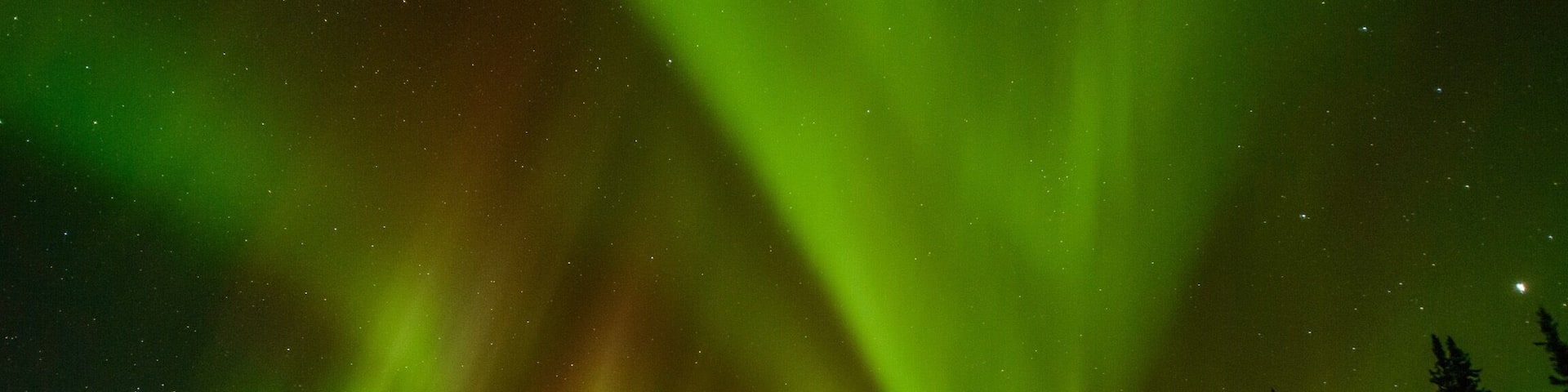 Temperatures in the frigid interior of Alaska can get down to -40°F, but it's all worth it when the Northern Lights come out to play #alaska #fairbanks #red #northernlights #aurora #auroraborealis #usa #america #colorful #nikon #weekend #nature #theoutdoors #getoutdoors #earth #planetearth #photographer #landscape #landscapephotography #desktop #green #snow #icy #winter #cold #adventure