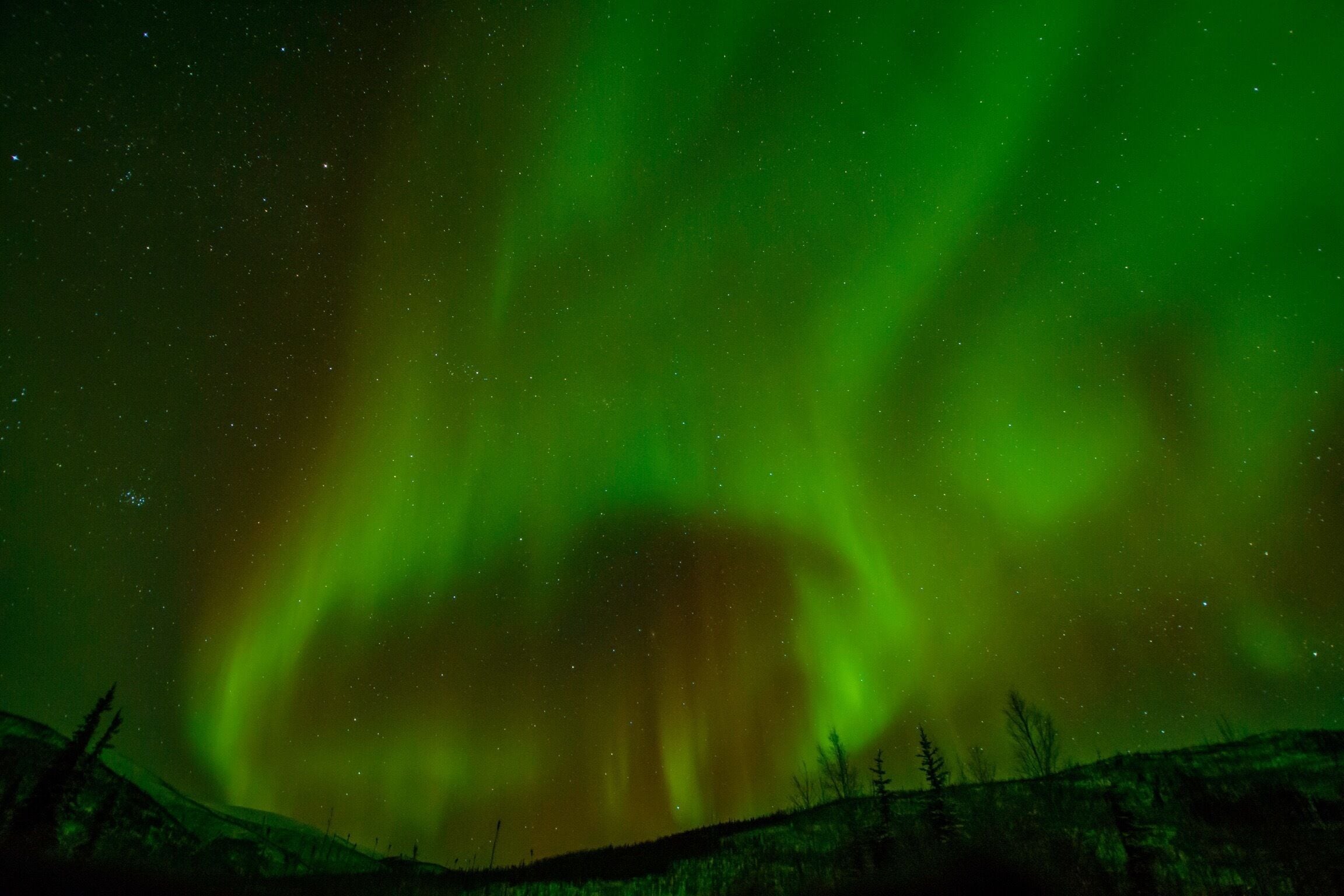 The Wormhole
#alaska #fairbanks #northernlights #aurora #auroraborealis #usa #america #colorful #nikon #weekend #nature #theoutdoors #getoutdoors #earth #planetearth #photographer #landscape #landscapephotography