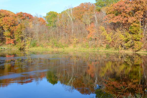 Autumn Foliage Reflections At Lake Maria State Park - Central Minnesota