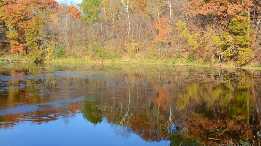 Autumn Foliage Reflections At Lake Maria State Park - Central Minnesota