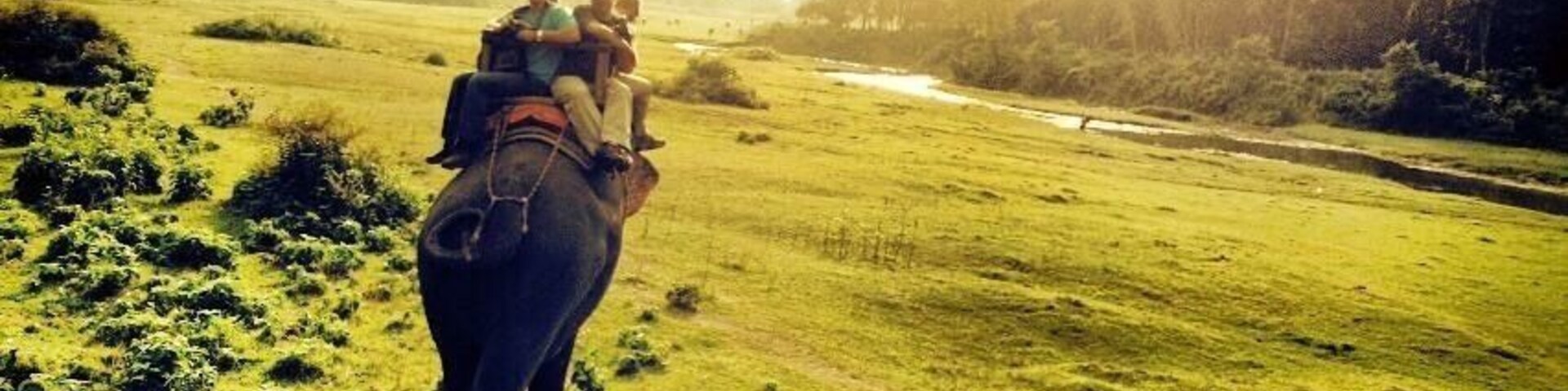 Great trip to the jungle area in Nepal... Chitwan. Great wild life experiences...bird watching, canoeing way too close to crocodiles, we even experienced a rhino spotting. However, I can't say I was crazy about how some of the captive elephants were treated:/