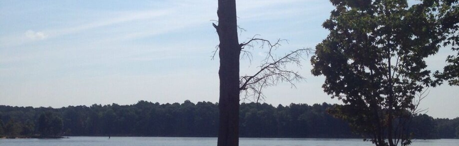 There are several very short loops (less than half a mile), or you can get to the longer Falls Lake Trail, which connects the shorter loops. We hiked 3 miles by connecting the loops. There are a few trails that take you to the water too.