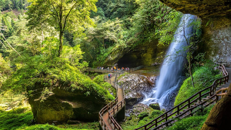 A lush forest with a waterfall, a wooden bridge, and a rocky outcrop.