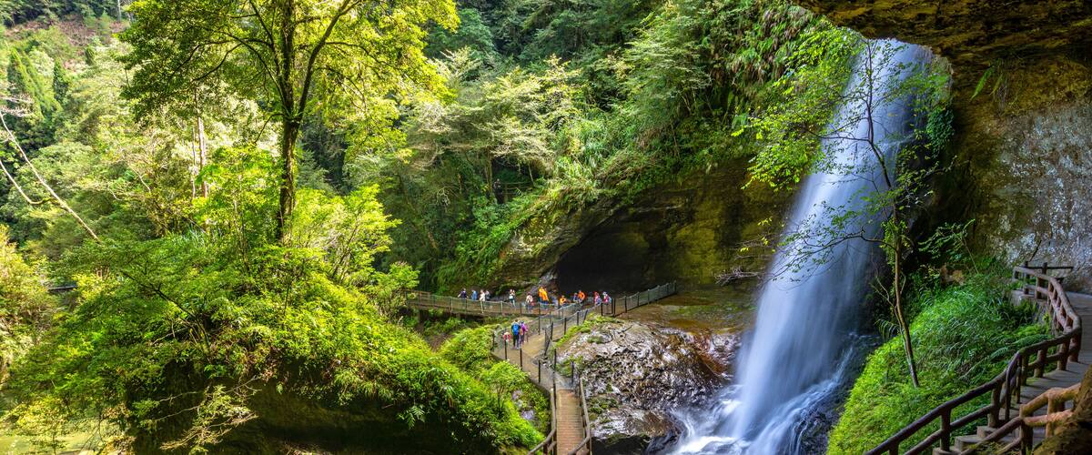 A lush forest with a waterfall, a wooden bridge, and a rocky outcrop.