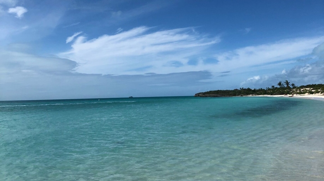 Taylor Bay, #turksandcaicos #thatwatertho #lifeatexpedia