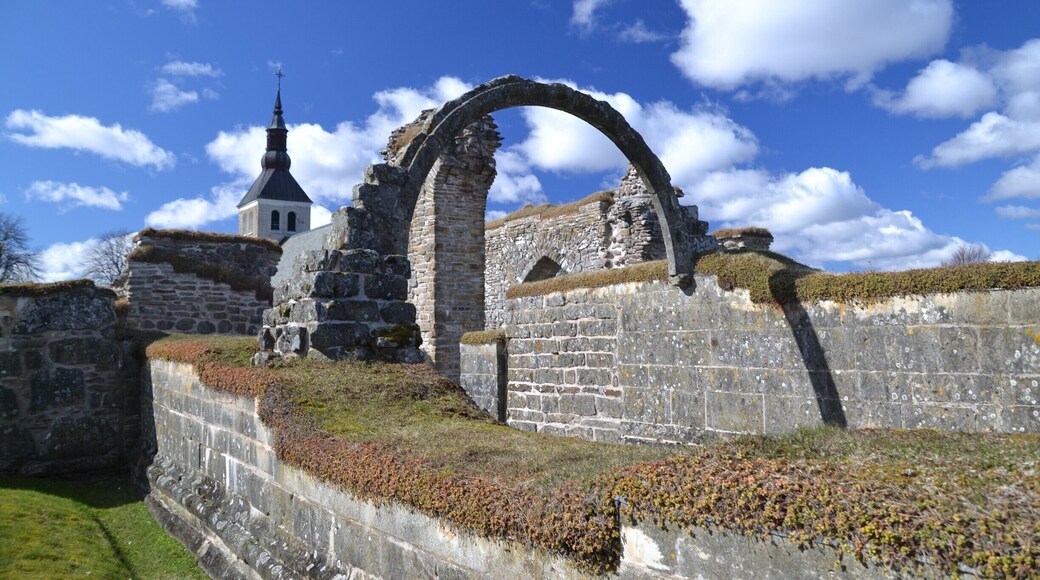 Ruins of an old nunnery in Gudhem, which translates to "God Home", located in the west of Sweden. This area is filled with sights. Not only ruins like this, there are also graves and rune stones from the bronze age all around... An area seldom visited by foreign tourists.
#sweden #ruins #roadtrip #Blue