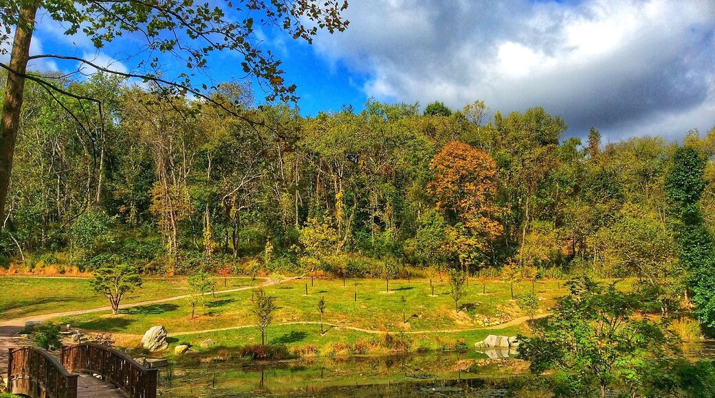 Quiet place..Built on old mining land...Love to visit each season..Fall is finally, coming.. Indian Summer is over...