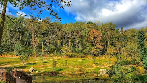 Quiet place..Built on old mining land...Love to visit each season..Fall is finally, coming.. Indian Summer is over...
