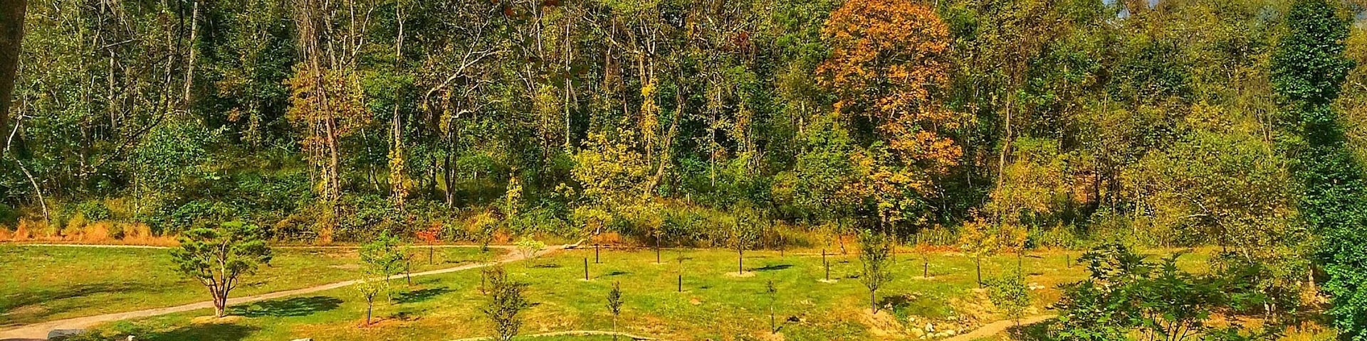 Quiet place..Built on old mining land...Love to visit each season..Fall is finally, coming.. Indian Summer is over...