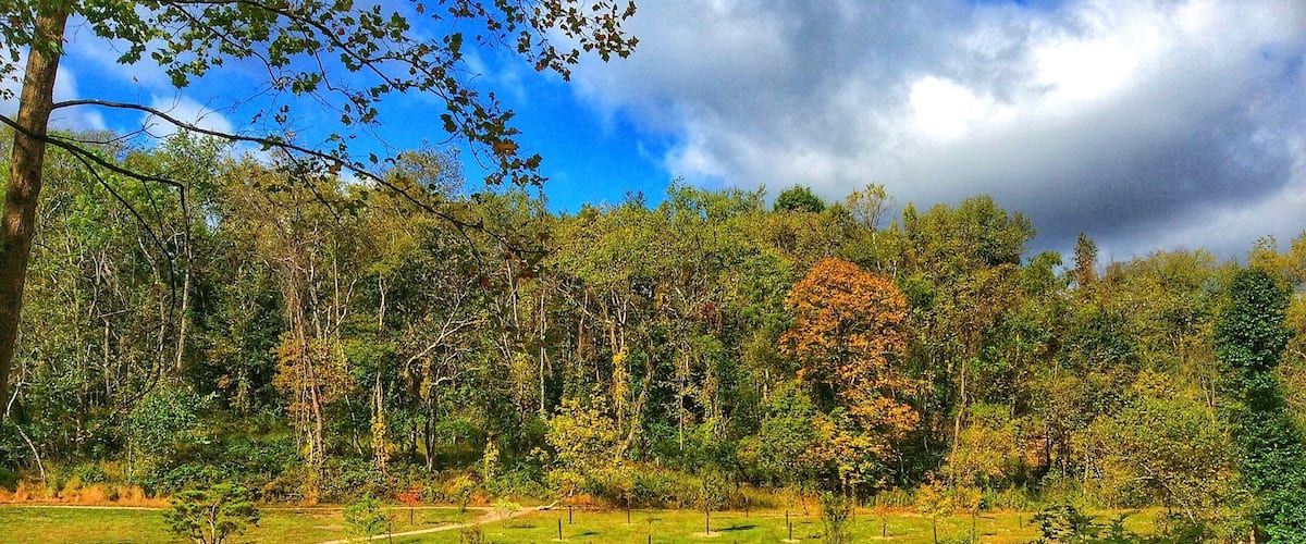 Quiet place..Built on old mining land...Love to visit each season..Fall is finally, coming.. Indian Summer is over...